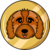 Cavapoo