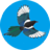 MagpieCoin