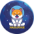 Nasa Doge