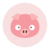 Piggy Finance