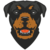 Rottweiler Inu