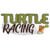 Turtle Racing